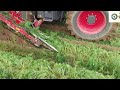 giant carrot harvester