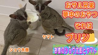 おサル兄弟は甘～いお菓子が好き