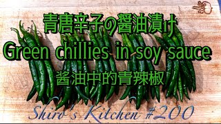 青唐辛子の醤油漬け #200  Green chillies in soy sauce  酱油中的青辣椒