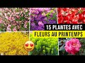 15 Plantes avec Fleurs au Printemps !