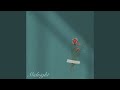 Midnight
