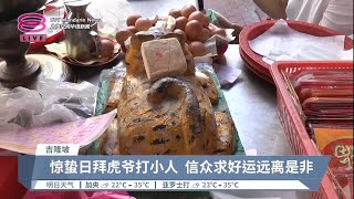 惊蛰“祭虎打小人”祈求消灾  隆仙四师爷庙人潮攒动【2023.03.06 八度空间华语新闻】