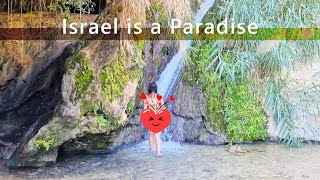 EIN GEDI Nature Reserve with Trails and Waterfalls, Israel