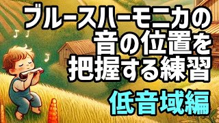 【とっても大事な低音域を覚えよう♪】ブルースハーモニカの音の位置を正確に把握する練習③（低音域）＃音マップ