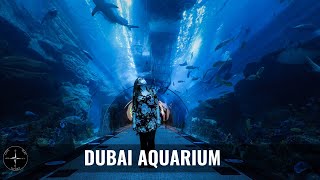 Dubai AQUARIUM &  Underwater Zoo tour (King Croc, sharks, penguins)