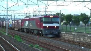 【Japan Railway】4088レ EH500-1 トップナンバー牽引コンテナ