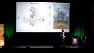 Sex on the rocks: genetic structure, pollen dispersal \u0026 recruitment in Eucalyptus caesia