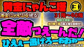 【黄金にゃんこ塔③】31階〜40階 全敵つえーんだ！(報酬いいからやるけどさー)※続マジ危険本気でかかるべし※