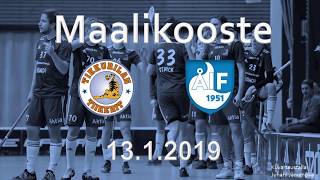 Maalikooste: Tiikerit - ÅIF 13.01.2019