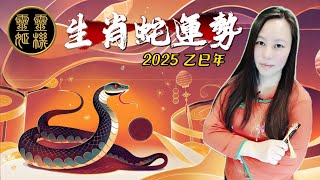 生肖「蛇」：命宮受「天機化祿」與「太陰化忌」的影響，2025流年紫微命盤解析 #紫微斗數 #紫微斗數算命 #紫微斗數教學 #紫微斗數課程 #靈姬紫微斗數 #numerology