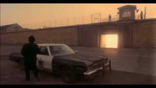 The Blues Brothers - The Pickup