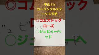 中山11rカーバンクルステークス予想　#カーバンクルステークス　#競馬予想 #競馬