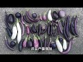 茄子这样种 全家吃不完 上 🍆grow tons of eggplants