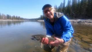 Paddling/Fishing the Athabasca River - April 2022