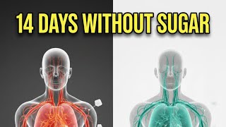 14 Days Without Sugar – Your Body Will Never Be the Same