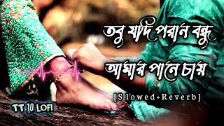 তবু যদি পরান বন্ধু আমার পানে চায় ||Slowed Reverb || Tobu Jodi Pran Bondhu || TT 10 LOFI MUSIC