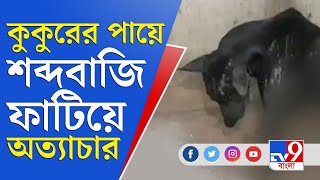 কুকুরের পায়ে শব্দবাজি ফাটিয়ে পাশবিক অত্যাচার খড়গপুরে | Kharagpur News | Street Dog