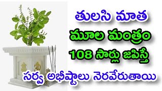 తులసి మాత మూల మంత్రం 108 సార్లు జపిస్తే సర్వ అభీష్టాలు నెరవేరతాయి | Telugu Life Facts