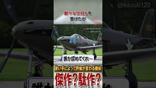 傑作？珍作？高高度迎撃機として作られたのに低空専門に🐍#雑学 #解説