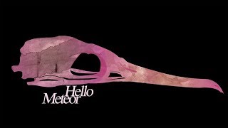 Hello Meteor - Night Distance