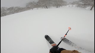 羊蹄山喜茂別コースの疎林をメローライド