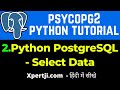 how to fetch data from postgresql database in python
