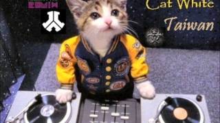 DJ WHiTe中文混音ｋｋ永電精選