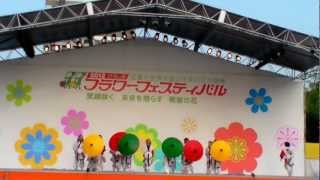 2012 きんさいYOSAKOI (2/3) 広島経済大学 DANCE RAZZLE ～華火～