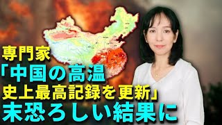 専門家「中国の高温、世界史上最高記録を更新」　末恐ろしい結果に