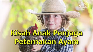 Kisah Anak Penjaga Peternakan Ayam