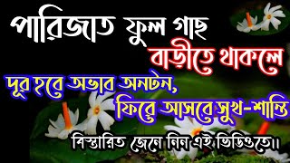 Parijat ful gach barite thaka shubho na ashubho | পারিজাত ফুল গাছ বাড়ীতে থাকা শুভ | #পারিজাতফুলগাছ