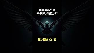 世界最小の鳥、ハチドリの能力が狂い過ぎている。#動物 #雑学 #鳥