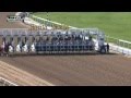 Top 30 Countdown - #9 Santa Anita (California Chrome)