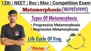 Metamorphosis In Hindi || Types Of Metamorphosis || Frog Life Cycle || By Dadhich Sir