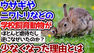 【2ch動物スレ】ウサギやニワトリが学校で飼育されなくなった理由とは【なんj】 #生き物 #2ch