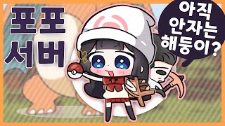 포포서버 3일차(1) [23. 08. 27]