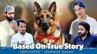 Based On True Story | The Dog Story | Shehzad Junaid SJ | Funny Story #funny #dogs