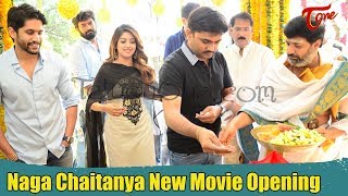 Naga Chaitanya New Movie Opening | Anu Emmanuel, Maruthi