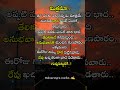 quotes about life lessons in telugu emotional quotes about life in telugu life quotes in telugu