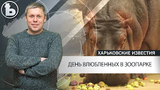 День влюбленных в Харьковском зоопарке