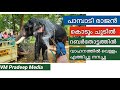 Pampady Rajan കൊടുംചൂടിൽ റബർതോട്ടത്തിൽ വെള്ളം എത്തിച്ച് നനച്ചു@VMPRADEEP#keralaelephants