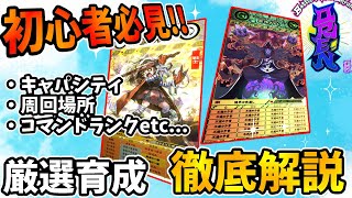 【ORE'N】厳選、育成のすゝめ!! 必要知識を徹底解説!!【オレン】