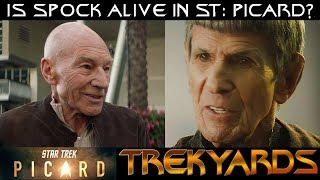 Is Spock actually Alive in Picard?? - Trekyards Theory Live