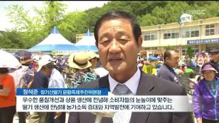 [포항MBC뉴스]장기 산딸기 축제 열려