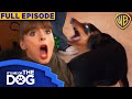 It's Me or The Dog USA | Episode 1 | Warner Bros. TV