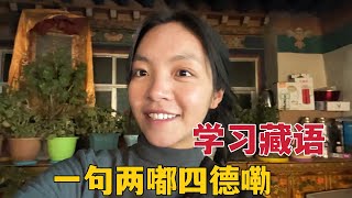 【NaquLhamo】115 A Tibetan language class set up by a girl in a Tibetan pastoral area