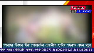 গণৰাজ্য দিৱসৰ দিনা গোলাঘাটৰ টেঙানীত হাতীৰ গছকত এজন মৃত্যু