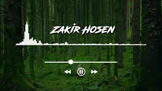 Calm Anthems Cover By Zakir Hosen