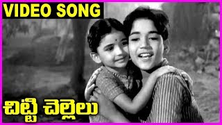 Chitti Chellelu - Telugu Super Hit Video Song - NTR, Vanisri, Rajasri, Haranath