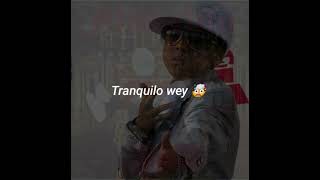 🇵🇷 Miguelito, Randy 🇵🇷 - Tranquilo Wey (Letra) 2006